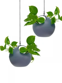 Exaco Euro Hanging Planters, Set Of 2 7 Exaco Euro Hanging Planters, Set Of 2 -Indoor Oasis Supplies 8599179 04V tif