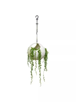 Exaco Euro Hanging Planters, Set Of 2 6 Exaco Euro Hanging Planters, Set Of 2 -Indoor Oasis Supplies 8599179 06V tif