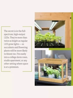 Bamboo Mini LED Grow Light Garden -Indoor Oasis Supplies 8599624 06