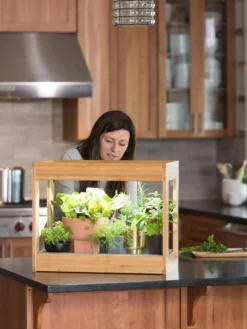 Bamboo Mini LED Grow Light Garden -Indoor Oasis Supplies 8599624 12532 tif