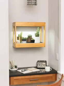 Bamboo Mini LED Grow Light Garden -Indoor Oasis Supplies 8599624 12872 tif