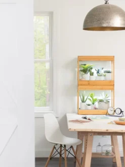 Bamboo Mini LED Grow Light Garden -Indoor Oasis Supplies 8599624 13244 tif