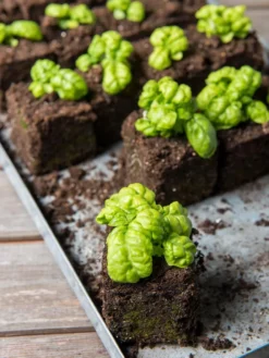 Soil Blocker, 4 Cell -Indoor Oasis Supplies 8599790 1057 tif