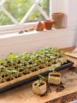 Paper Pots, 50 Cell -Indoor Oasis Supplies 8599830 0502 paper pots 50 cell tif