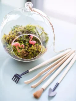 Terrarium Tools, Set Of 4 -Indoor Oasis Supplies 8599884 01V tif