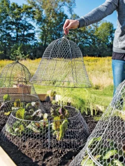 Chicken Wire Cloche With Extension -Indoor Oasis Supplies 8600116 0604 3 4