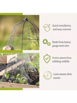 Chicken Wire Cloche With Extension -Indoor Oasis Supplies 8600116 3