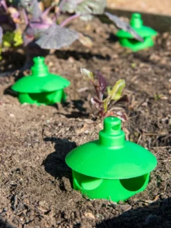 Slug And Snail Traps, Set Of 3 -Indoor Oasis Supplies 8600120 1788