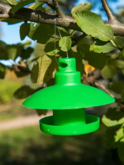 Slug And Snail Traps, Set Of 3 -Indoor Oasis Supplies 8600120 1792