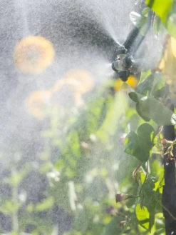 Landscape 4-Way Cooling Mist Kit, 50' -Indoor Oasis Supplies 8600154 0695 tif