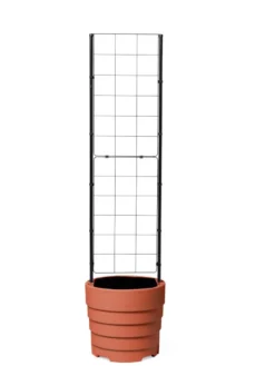 Gardener’s Victory Self-Watering Planter With Vine Trellis 17 Gardener’s Victory Self-Watering Planter With Vine Trellis -Indoor Oasis Supplies 8600178 7000 tif