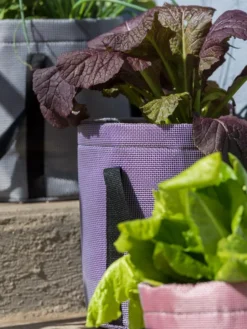 Reinforced Colorful Grow Bags -Indoor Oasis Supplies 8600230 20013 tif