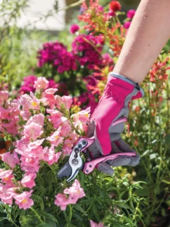 Gardener's Floral Pruning Bypass Shears 6 Gardener's Floral Pruning Bypass Shears -Indoor Oasis Supplies 8600299 19545 tif