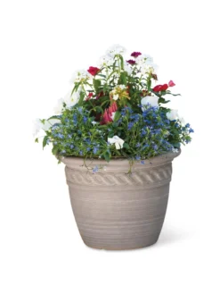 Cortina Self-Watering Planters -Indoor Oasis Supplies 8600315 19839 tif