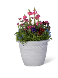 Cortina Self-Watering Planters -Indoor Oasis Supplies 8600316 19838 tif