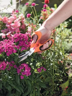 Gardener's Multi Purpose Scissors 6 Gardener's Multi Purpose Scissors -Indoor Oasis Supplies 8608655 19551 tif