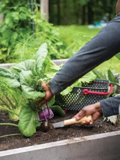 Gardener's Lifetime Hori Hori Knife -Indoor Oasis Supplies 8608888 0422 tif