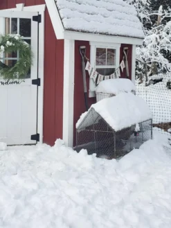 Chicken Wire Crop Coop -Indoor Oasis Supplies 8609080 03IN tif