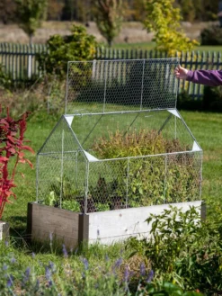 Chicken Wire Crop Coop -Indoor Oasis Supplies 8609080 4024