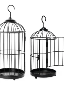 Hanging Birdcage Planter Set -Indoor Oasis Supplies 8609181 02V tif