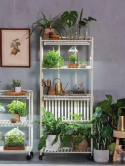 Oslo 4-Tier LED Grow Light Garden -Indoor Oasis Supplies 8609188 4118 tif