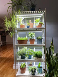 Oslo 4-Tier LED Grow Light Garden -Indoor Oasis Supplies 8609220 03IN tif