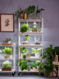 Oslo 4-Tier LED Grow Light Garden -Indoor Oasis Supplies 8609220 4116 tif