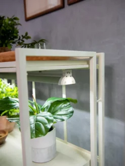 Oslo 2-Tier LED Grow Light Garden, 2 Fixtures -Indoor Oasis Supplies 8609221 4101 tif