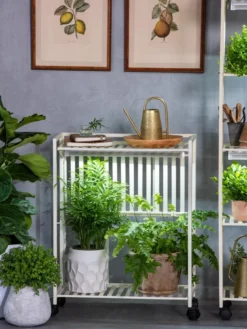 Oslo 2-Tier LED Grow Light Garden, 2 Fixtures -Indoor Oasis Supplies 8609221 7236 tif