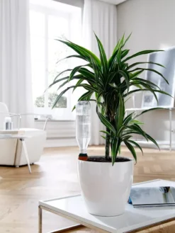 Hydro Wine Container Watering System, Set Of 4 -Indoor Oasis Supplies 8609224 02V tif