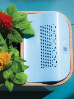 Dewplanter -Indoor Oasis Supplies 8609512 Dewplanter