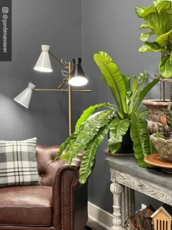 Adjustable 3-Arm Grow Lamp -Indoor Oasis Supplies 8609868 01IN tif