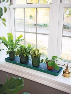Self-Watering Windowsill Tray -Indoor Oasis Supplies 8609873 9011 tif