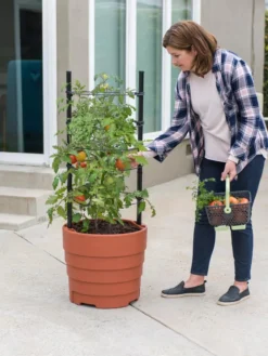 Gardener’s Victory Self-Watering Planter Garden Kit -Indoor Oasis Supplies 8610239 06002 tif