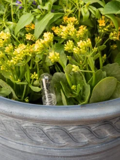 Adjustable Self-Watering Insert For Pots And Planters -Indoor Oasis Supplies 8610250 0010 tif