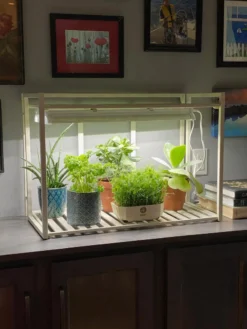 Oslo 1-Tier LED Grow Light Garden -Indoor Oasis Supplies 8611002 01IN tif