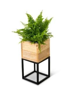 Tartu Elevated Square Planters -Indoor Oasis Supplies 8611004 038