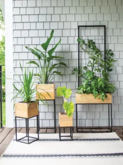 Tartu Elevated Square Planters -Indoor Oasis Supplies 8611007 022