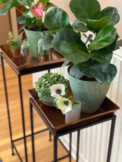 Square Nesting Plant Stands With Trays, Set Of 2 -Indoor Oasis Supplies 8611014 3651 tif