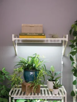 Best Seller -Indoor Oasis Supplies 8611516 8400 tif