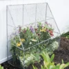 Chicken Wire Flat Back Crop Coop