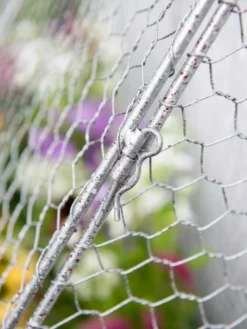 Chicken Wire Flat Back Crop Coop 9 Chicken Wire Flat Back Crop Coop -Indoor Oasis Supplies 8611701 167 tif