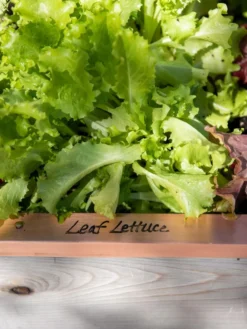 Re-Markable Raised Bed Trim -Indoor Oasis Supplies 8611757 326 tif