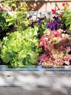 Re-Markable Raised Bed Trim -Indoor Oasis Supplies 8611758 306 tif