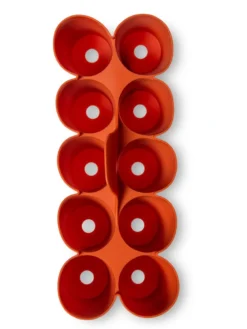 Sili-Seedlings® Seedling Tray, 10-Cell -Indoor Oasis Supplies 8611886 3821 tif