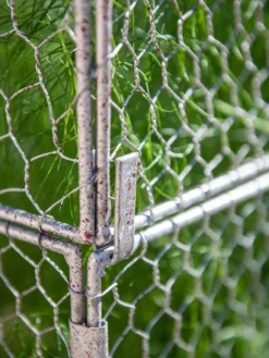 Chicken Wire Crop Coop Extension -Indoor Oasis Supplies 8611940 232 tif
