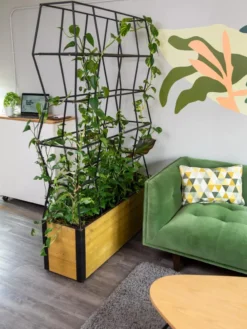 Self-Watering Partition Planter 8 Self-Watering Partition Planter -Indoor Oasis Supplies 8611952 001 tif