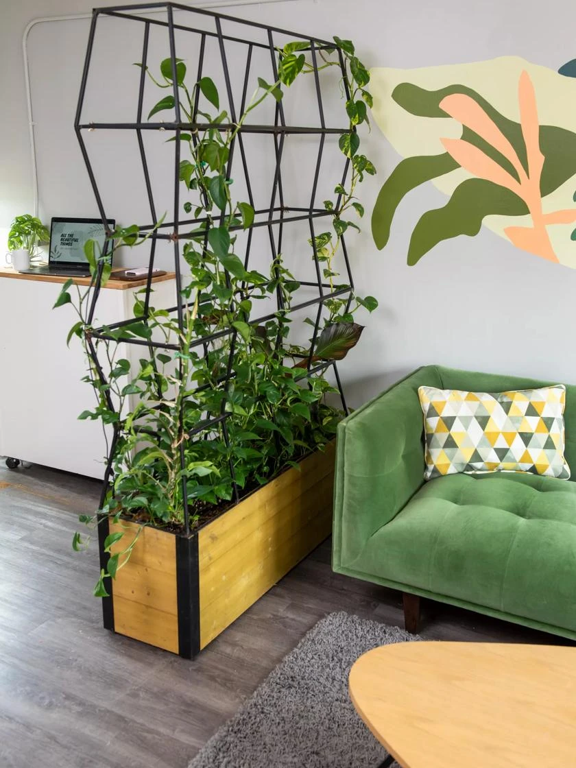 Self-Watering Partition Planter 4 Self-Watering Partition Planter - Image 4