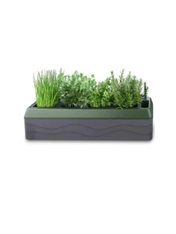 Provence Self-Watering Herb Planter -Indoor Oasis Supplies 8611965 03V tif