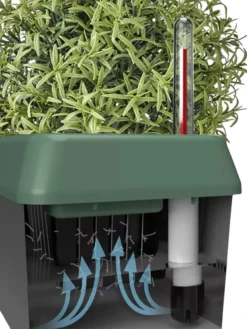 Provence Self-Watering Herb Planter -Indoor Oasis Supplies 8611965 05V tif